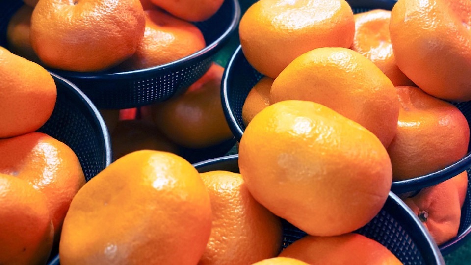 Mandarins, sometimes strawberries